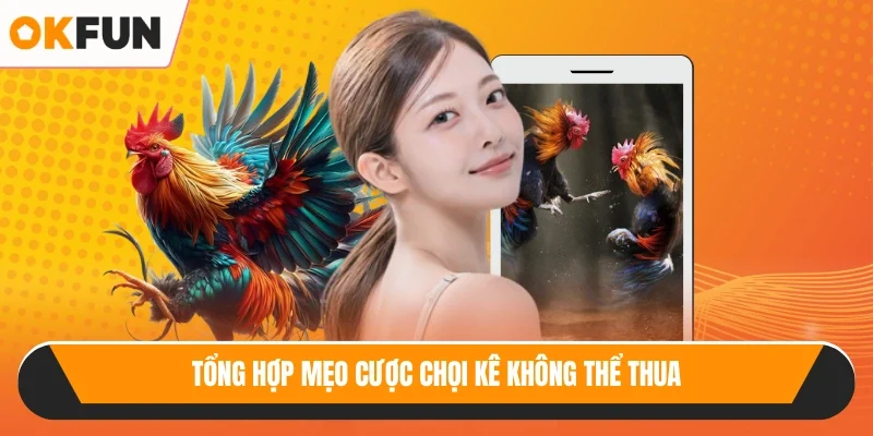 Tổng hợp mẹo cược chọi kê không thể thua