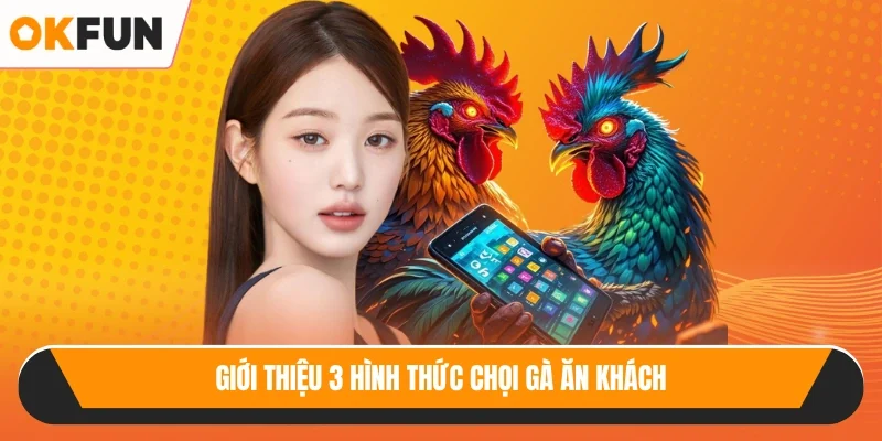 Giới thiệu 3 hình thức chọi gà ăn khách