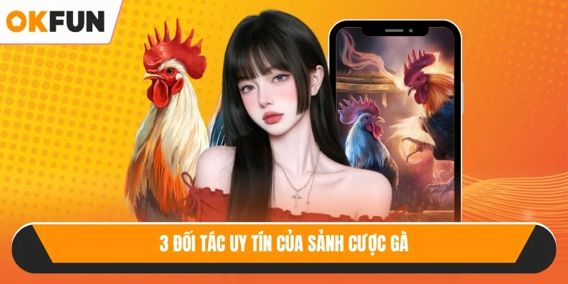 3 đối tác uy tín của sảnh cược gà