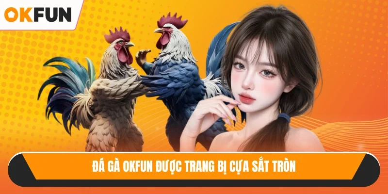 Đá gà OKFUN được trang bị cựa sắt tròn
