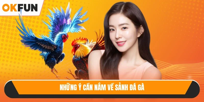 Những ý cần nắm về sảnh đá gà