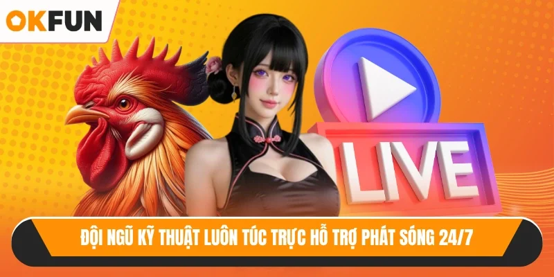 Đội ngũ kỹ thuật luôn túc trực hỗ trợ phát sóng 24/7