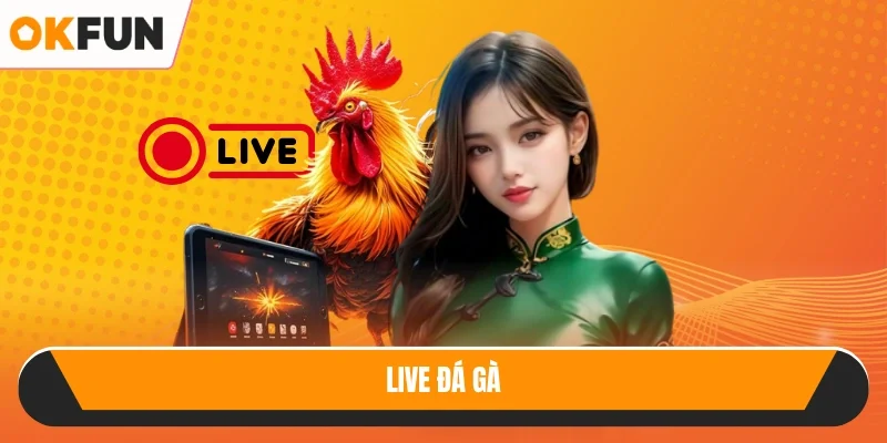 Live đá gà