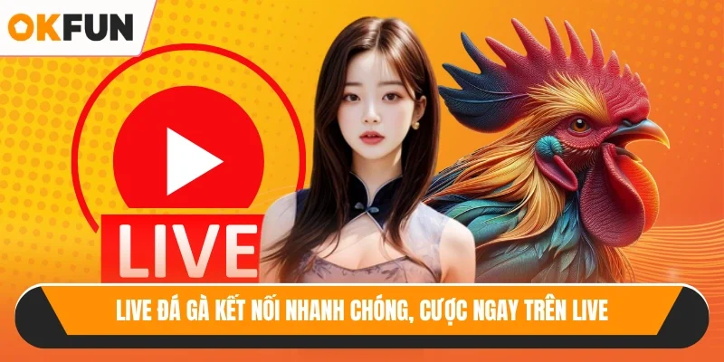 Live đá gà kết nối nhanh chóng, cược ngay trên live